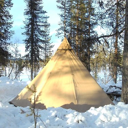 Reindeer Lodge Jukkasjärvi المظهر الخارجي الصورة