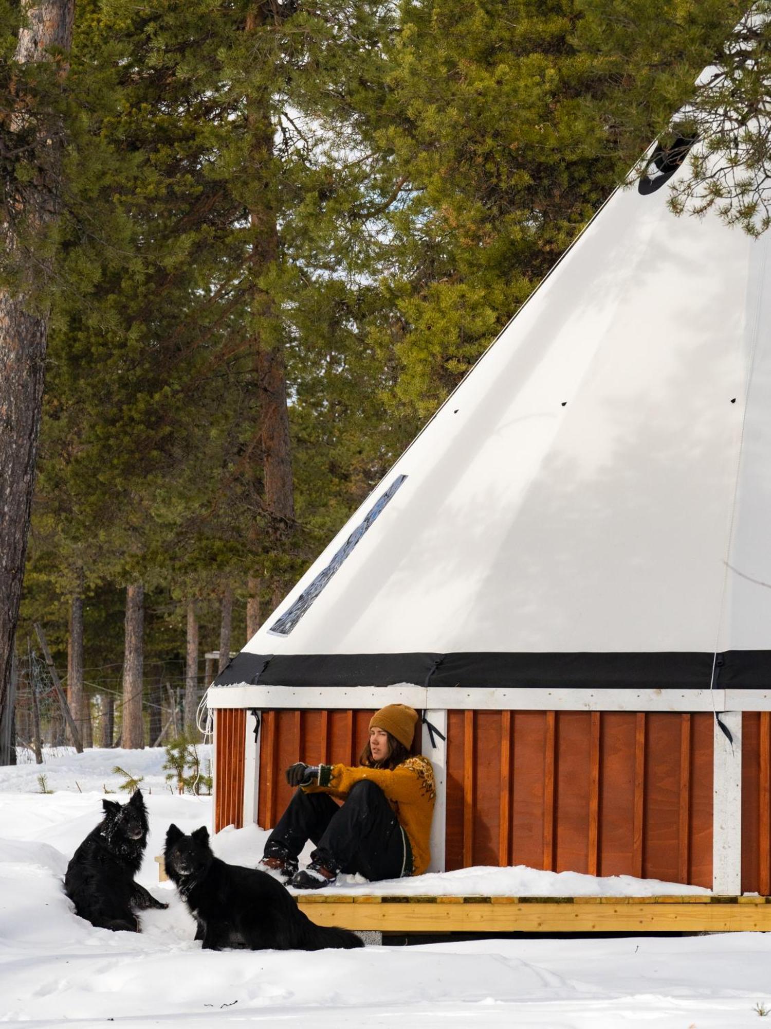 Jukkasjärvi Reindeer Lodge المظهر الخارجي الصورة