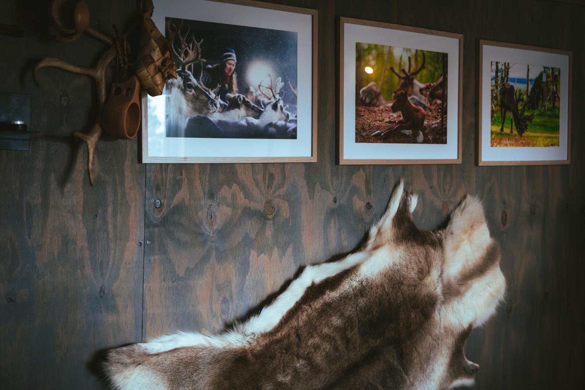 Reindeer Lodge Jukkasjärvi المظهر الخارجي الصورة